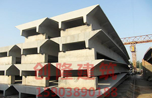 混凝土雙T板 混凝土雙T板